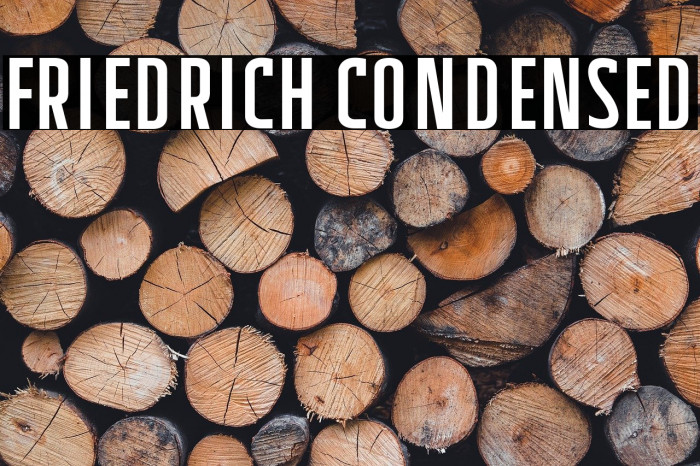 Friedrich Condensed Example 2