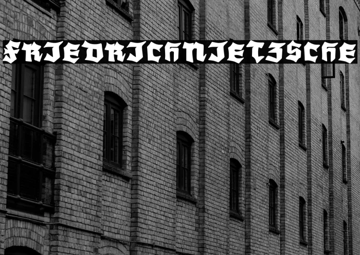 Friedrich Nietzsche Example 3