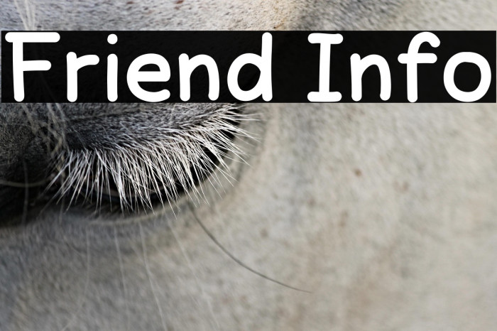 Friend Info Example 3