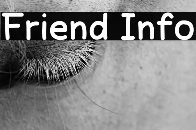 Friend Info Шрифта examples