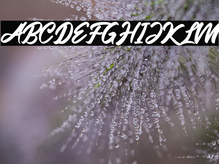 Friend Write Example 2