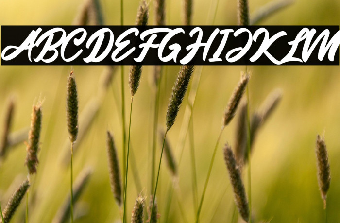 Friend Write Example 3