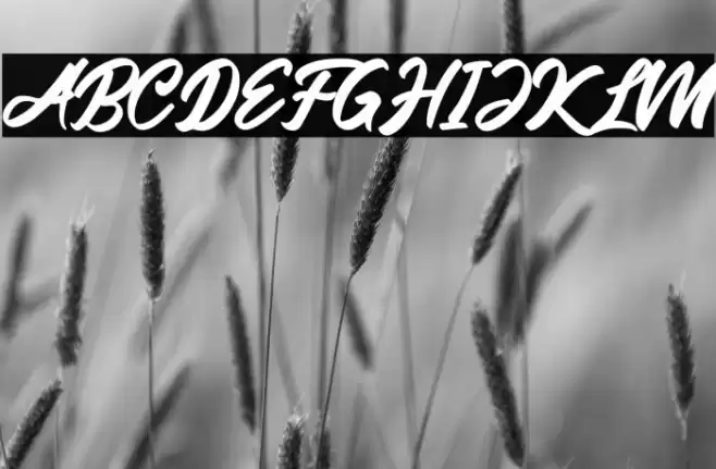 Friend Write Font examples