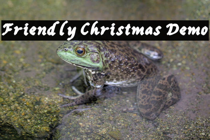 Friendly Christmas Demo Example 3