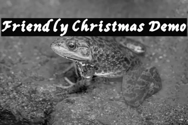 Friendly Christmas Demo Font examples