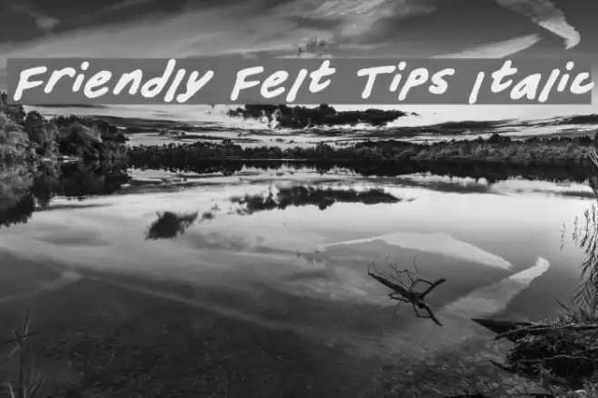 Friendly Felt Tips Italic Font examples