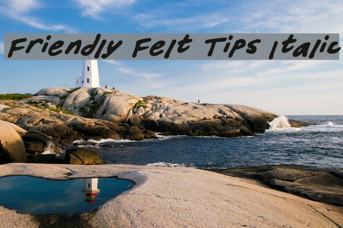 Friendly Felt Tips Italic Font examples