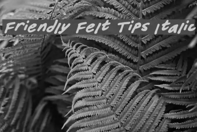 Friendly Felt Tips Italic Font examples