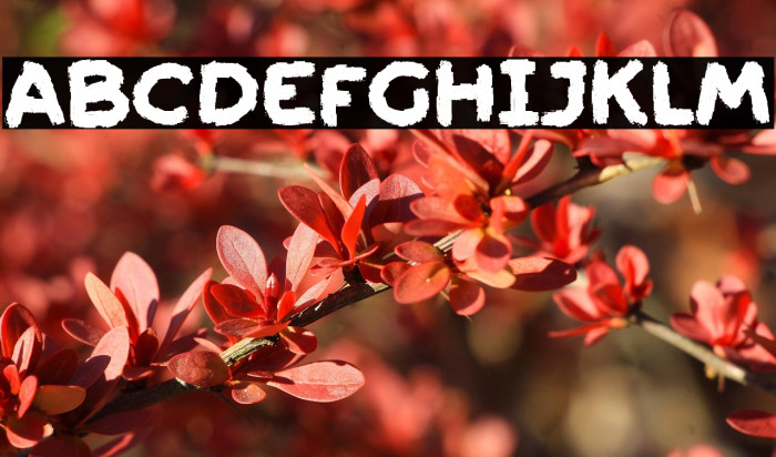 Friendly Ghost Example 1