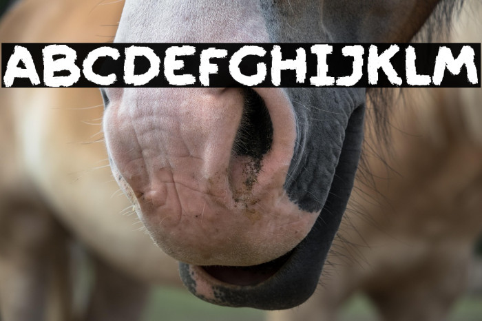 Friendly Ghost Example 2