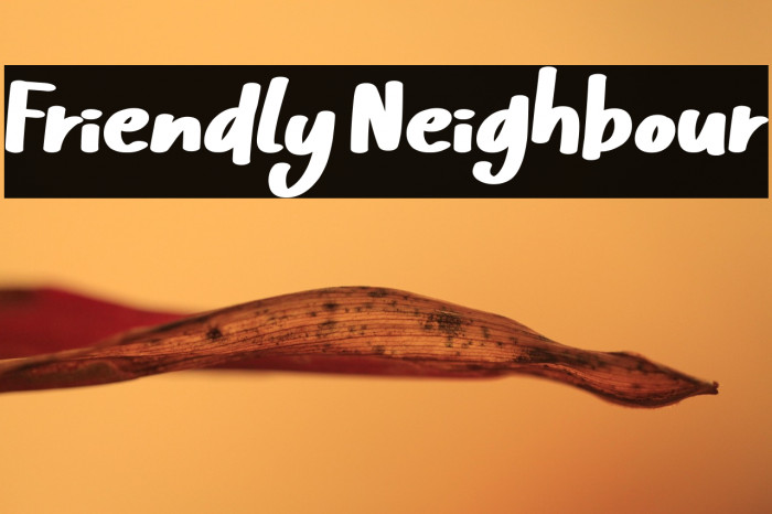 Friendly Neighbour خط examples