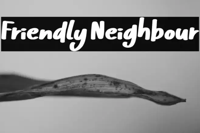 Friendly Neighbour Font examples