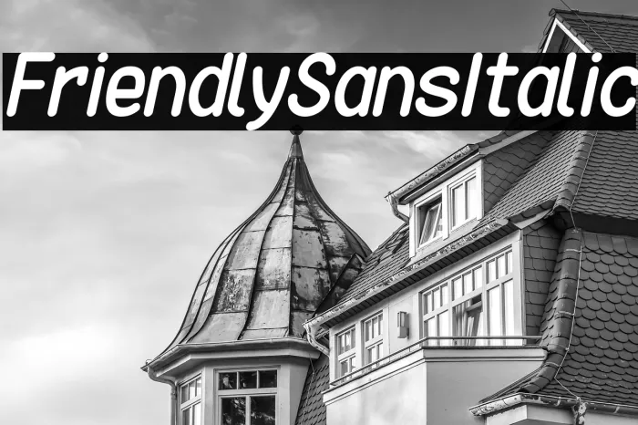 Friendly Sans Italic Example 1