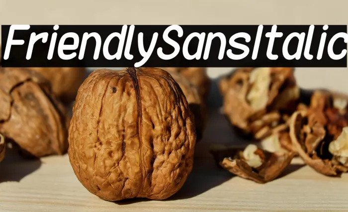 Friendly Sans Italic Example 2