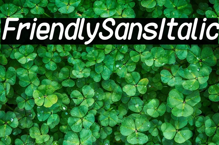 Friendly Sans Italic Example 3