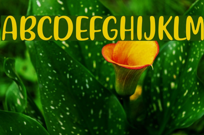 Friendly Schoolmates Font examples