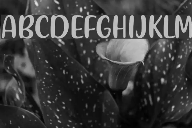 Friendly Schoolmates Шрифта examples