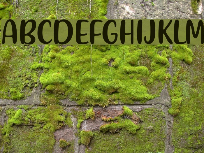 Friendly Schoolmates Font examples