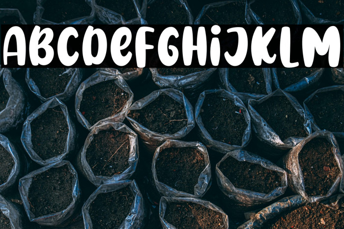 Friendly Sunday Sans Regular Example 3