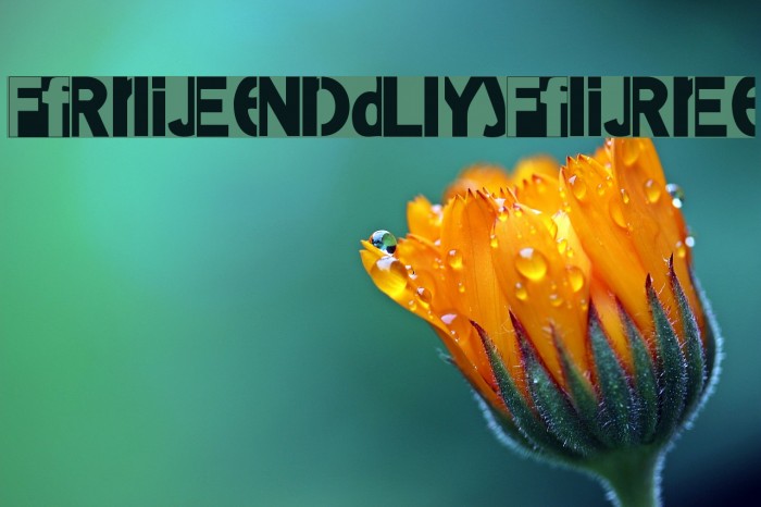 FriendlyFire Example 1