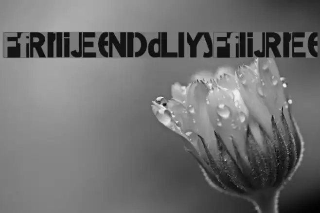 FriendlyFire Font examples