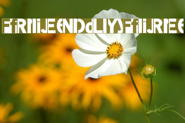 FriendlyFire Example 2