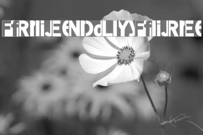 FriendlyFire Font examples