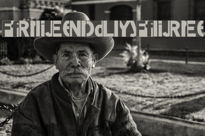 FriendlyFire Example 3