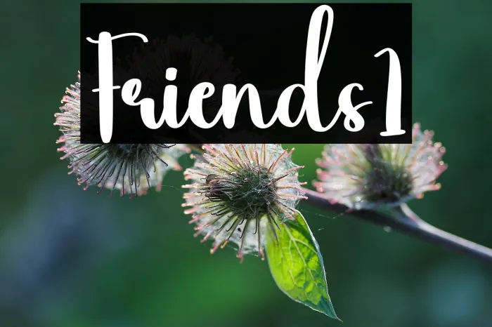 Friends1 Example 3