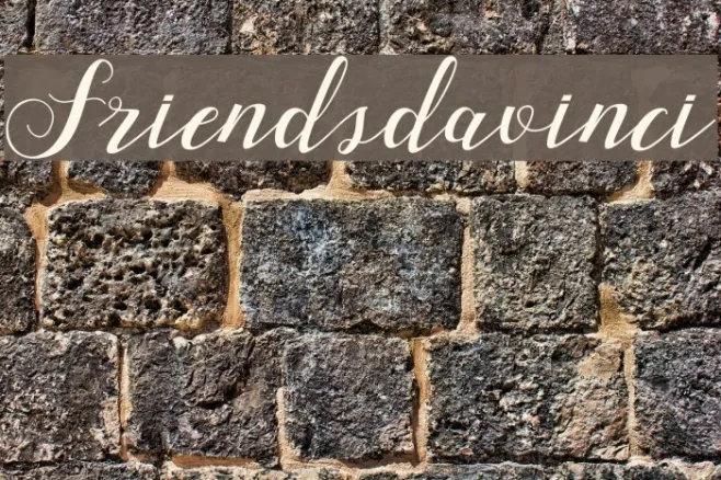 Friendsdavinci Example 1