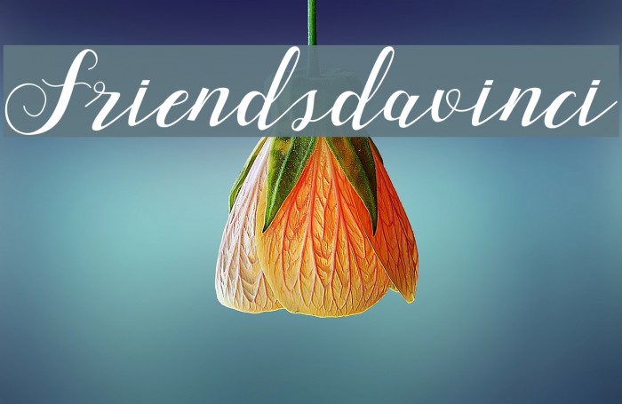 Friendsdavinci Font examples