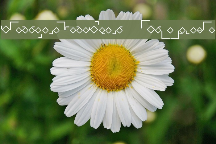 FriendshipCode Regular Font examples
