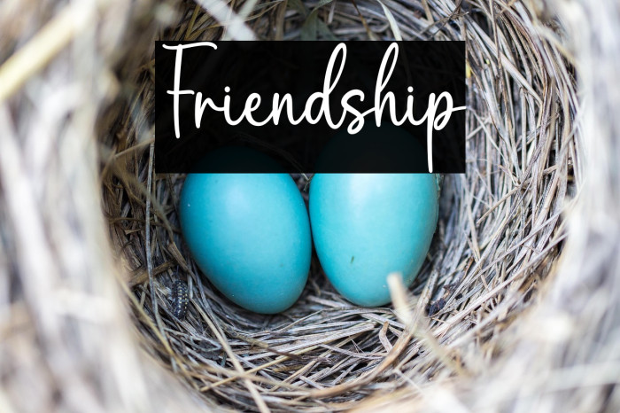 Friendship Example 1