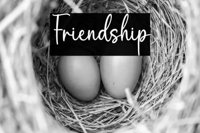 Friendship Font examples