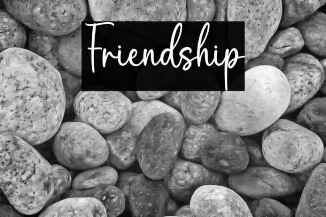 Friendship Font examples