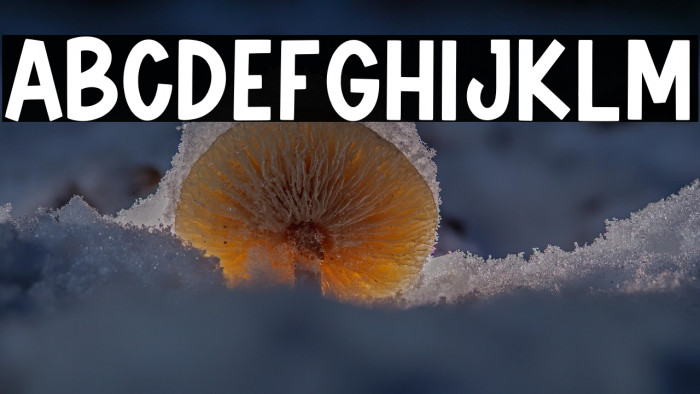 Friendszone Example 1