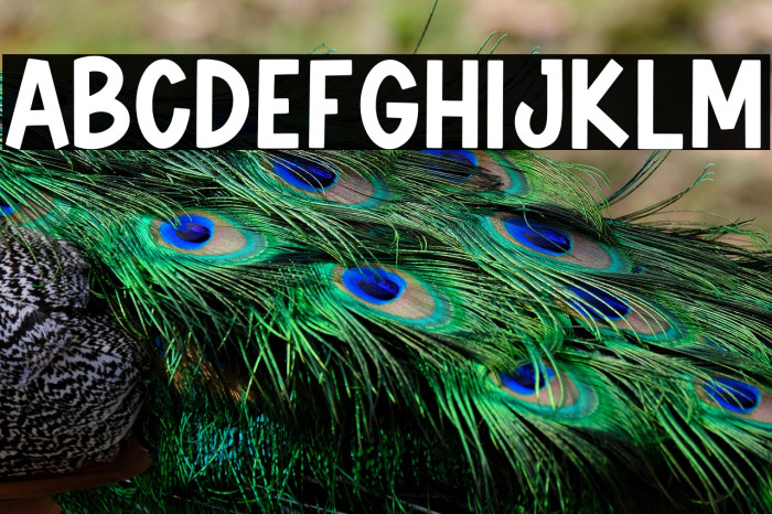 Friendszone Example 2