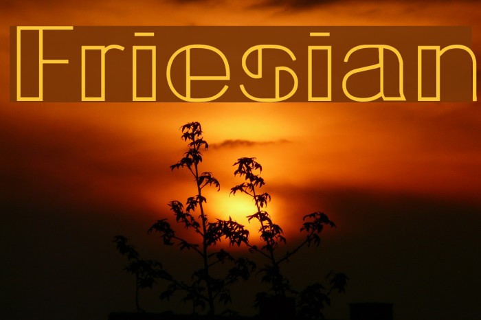 Friesian Font examples