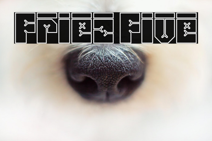 Friez Five Example 1