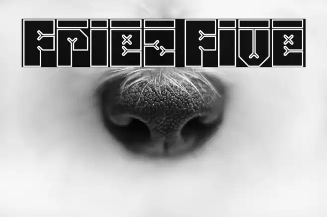 Friez Five Font examples