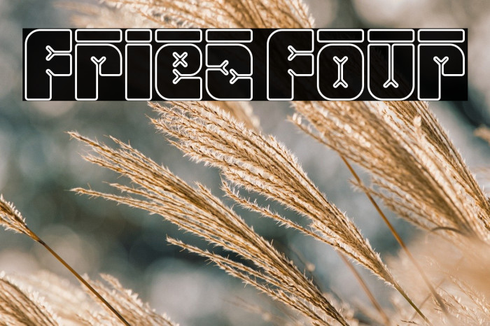 Friez Four Example 2