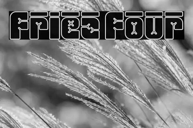 Friez Four Font examples