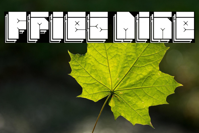 Friez Nine Example 1