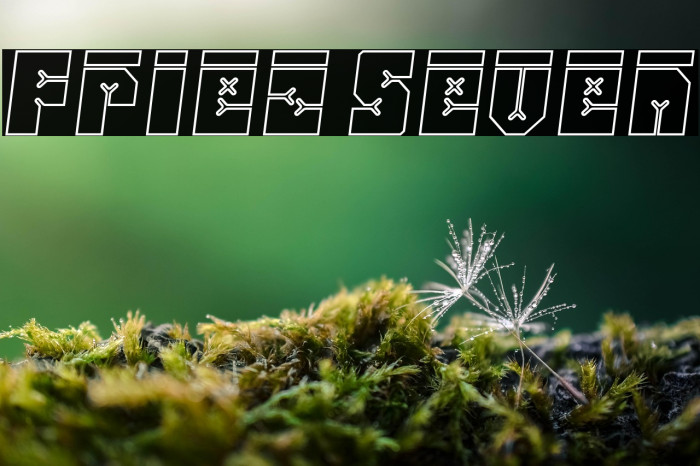 Friez Seven Example 3