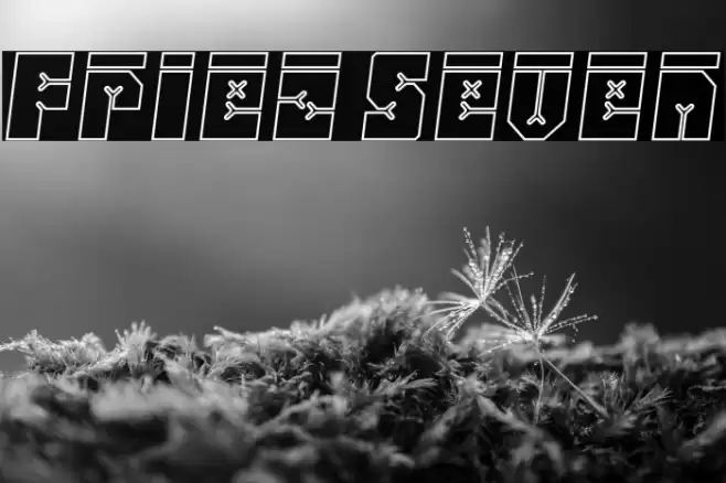Friez Seven Font examples