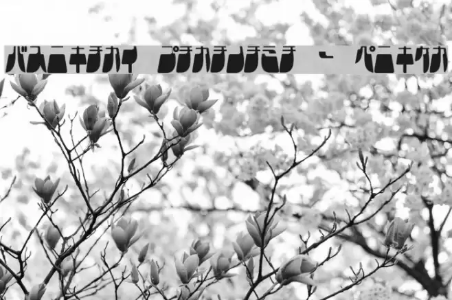 Frigate Katakana - Light Caratteri examples