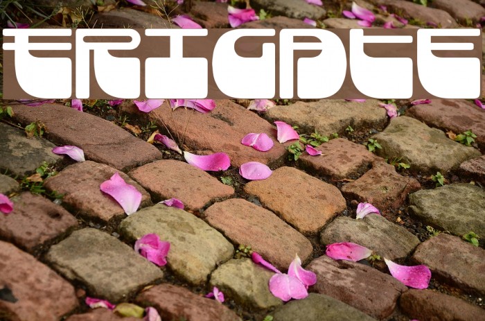 Frigate Font examples