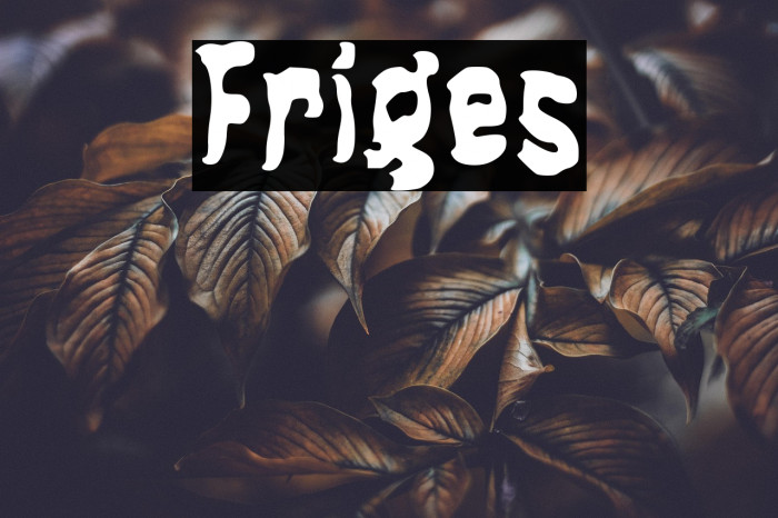Friges Example 1