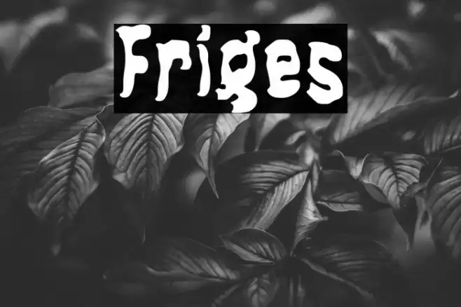 Friges Font examples