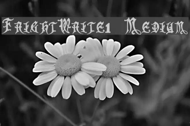 FrightWrite1 Medium Fonte examples